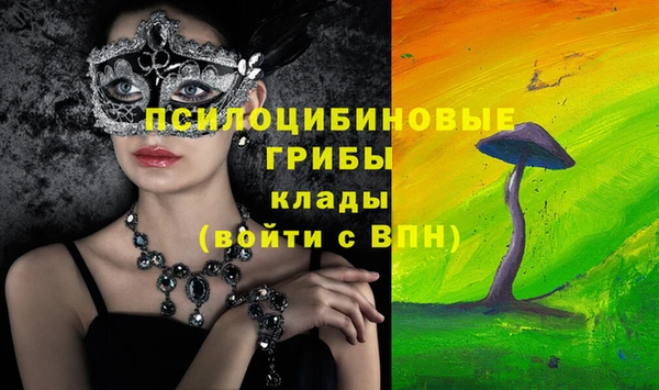 метадон Алексин