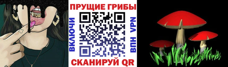 дарнет шоп  Лысково  Галлюциногенные грибы GOLDEN TEACHER 